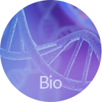 Bio